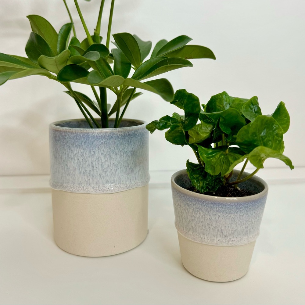 Pair Of Minimalist Blue & Buttercream Ceramic Drip Glaze Flying Tiger Planters